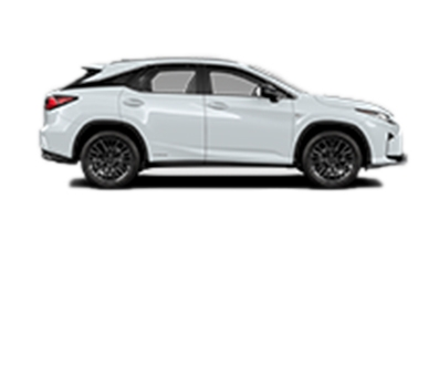 Lexus RX Audio Pakket 