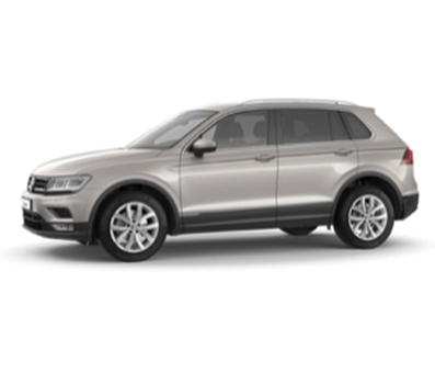 VW Tiguan Audio Pakket 